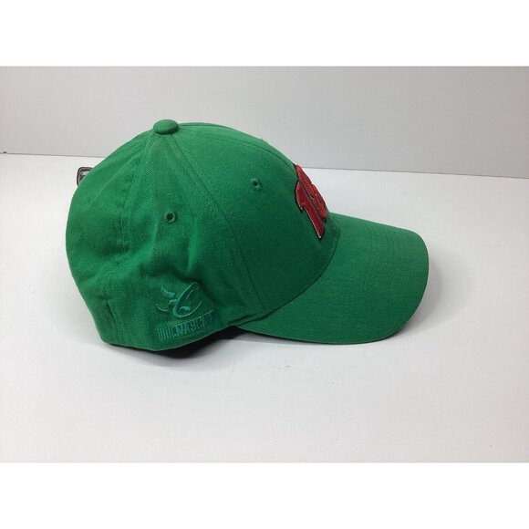Bobby Labonte NASCAR Racing Hat Men's L/XL Green Real Fit Vintage 36 Wildcat - Picture 3 of 6